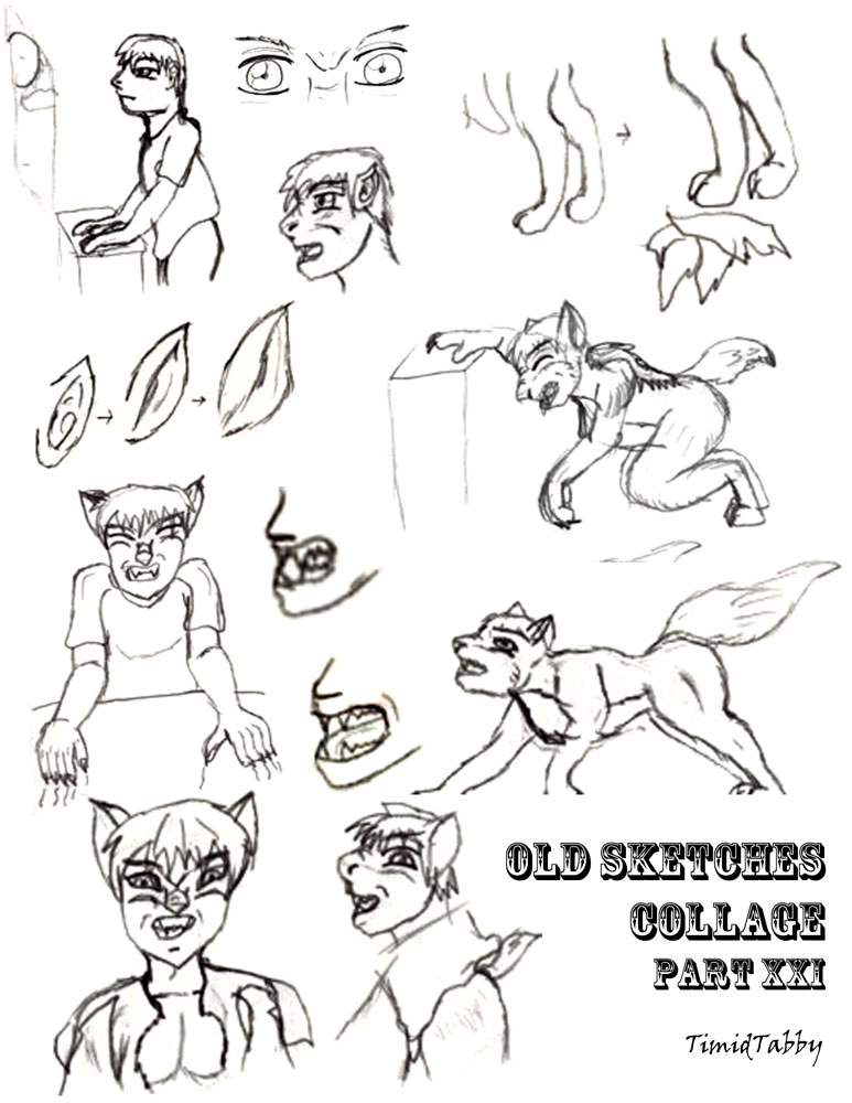 Old Sketches Collage #21