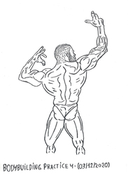 Bodybuilding - Anatomy Practice 4