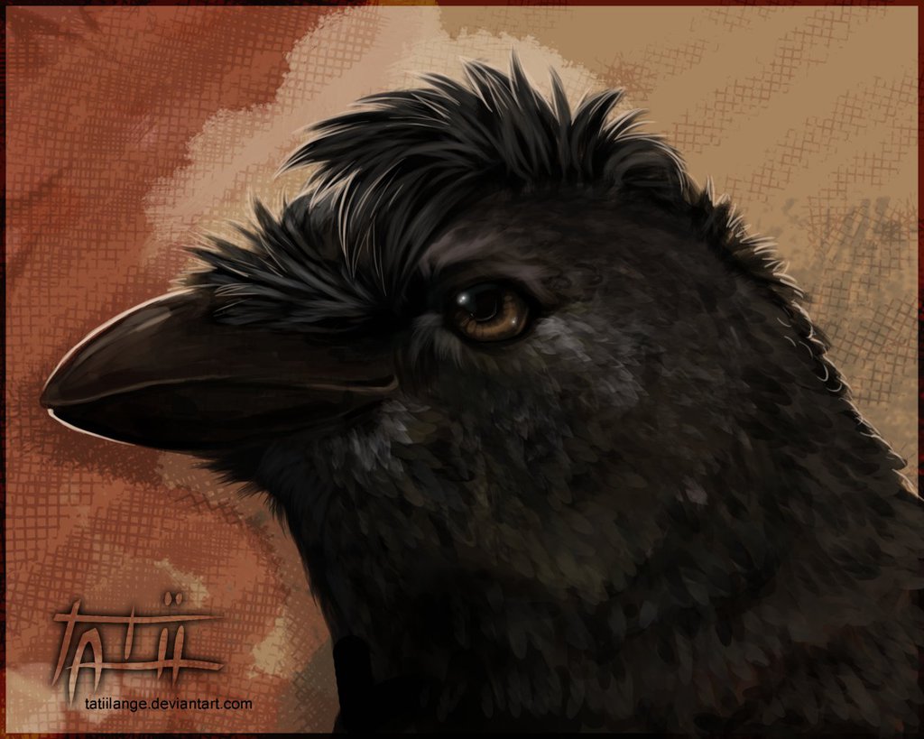 Dark Wings, a Jackrow Portrait by tatiilange