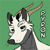 Avatar for pyron_dragon