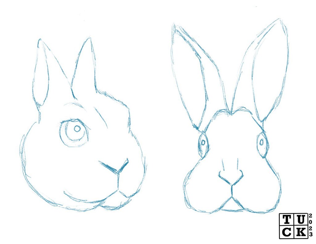 Most recent image: Bunny Sketches