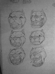 Sketch Faces