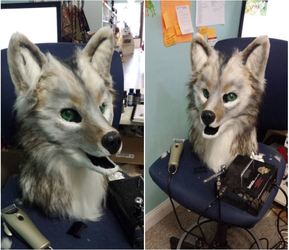 EASTERN COYOTE (wip) - for sale