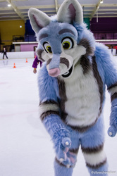 Furries on Ice 2017: Ice Skating Fox