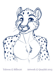 Cheetah bust commission