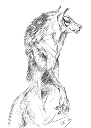 werewolf sketch