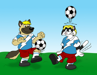 Lesson 12: Soccer Ball Juggling