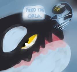 Feed the orcas.