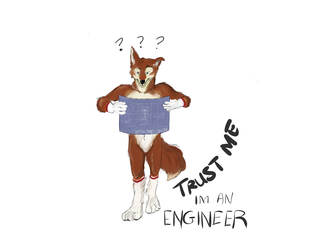 Trust me I'm an engineer!