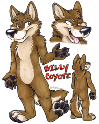 Billy Coyote Character Reference