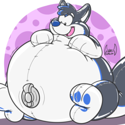 Apr-06: Inflated puppy belly!