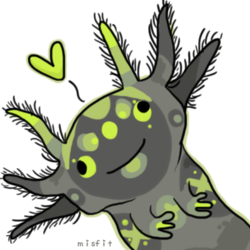 Axolotl Derp