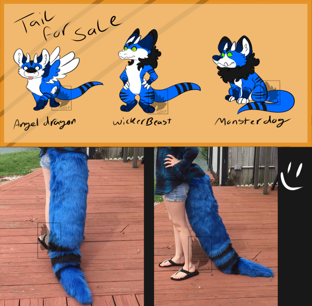 Most recent image: Tail for sale