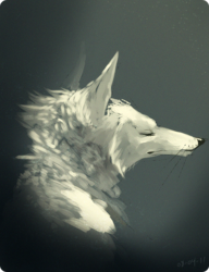 [Sketch] White Fox