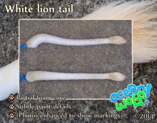 White Lion Tail