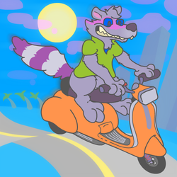 ANOTHER SCOOTER RACCOON