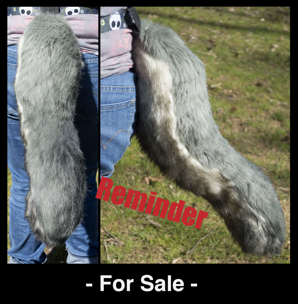 Reminder Beautiful Grey Wolf tail