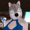 avatar of Yarin