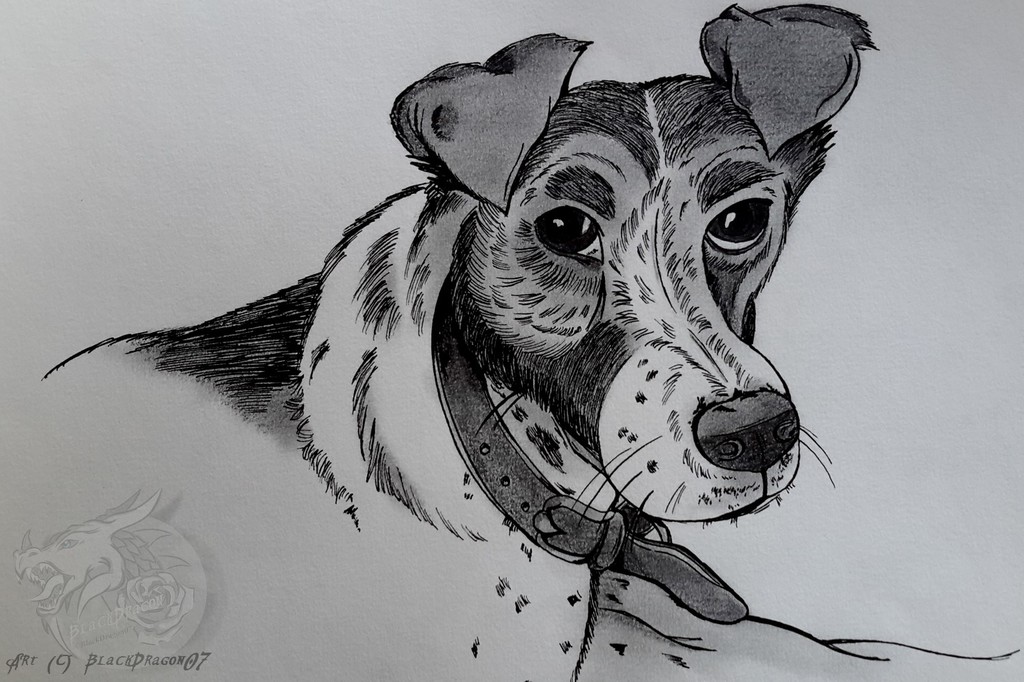 [Indian Ink art] Portrait of a Fox #2
