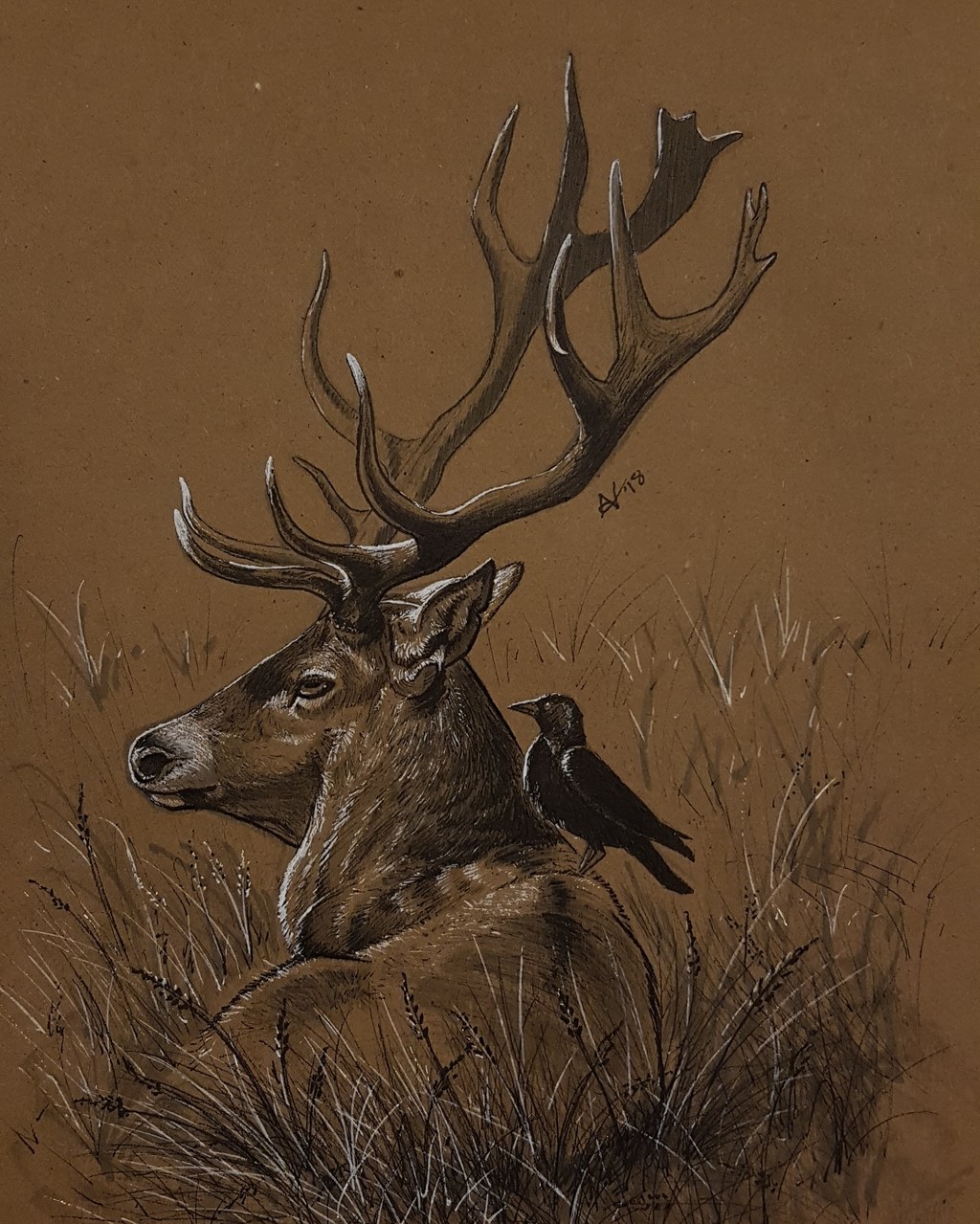 WBS: Stag