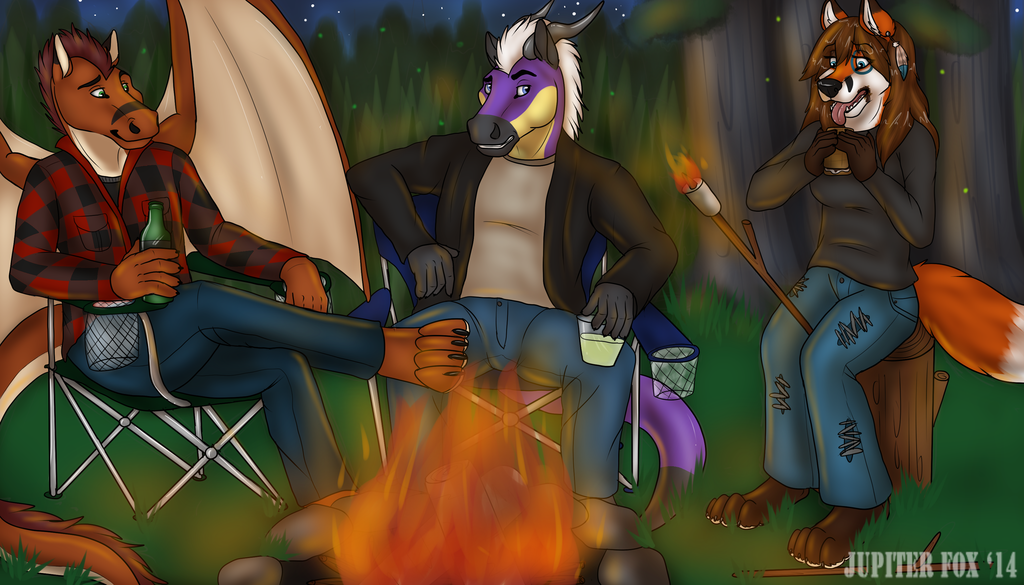 Most recent image: Chillin around an Open Fire