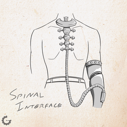 The World of Ruan - Spinal Interface
