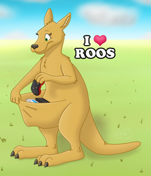 I Heart Kangaroos Button