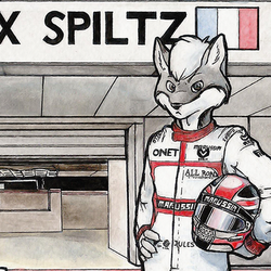 №7: Max Spiltz, Marussia Vraiment 2014