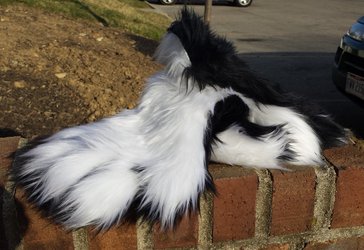 Canine Foam Base + Handpaws + Tail! $150 FREE SHIPPING