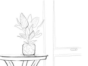 sight sketching - plant
