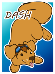 Puff Badge: Dash