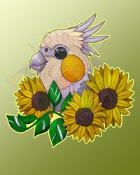 Cockatiel Sunflowers