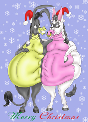 Merry Xmas with 2 fat ass Donkeys