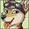 avatar of greywolf