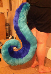 Wusky Tail