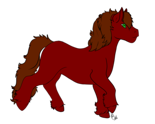Borgri Pony