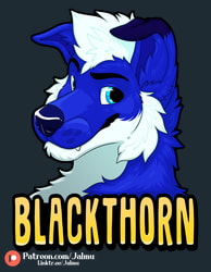 BlackThorn Fureh2022