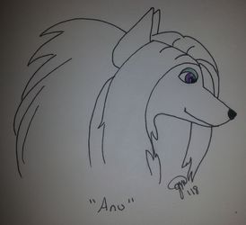 Arctic Wolf, Anu, profile