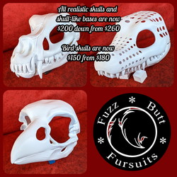 Skull and Skull-like Base Prices Dropped!