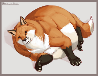 Fat Fox Doodle