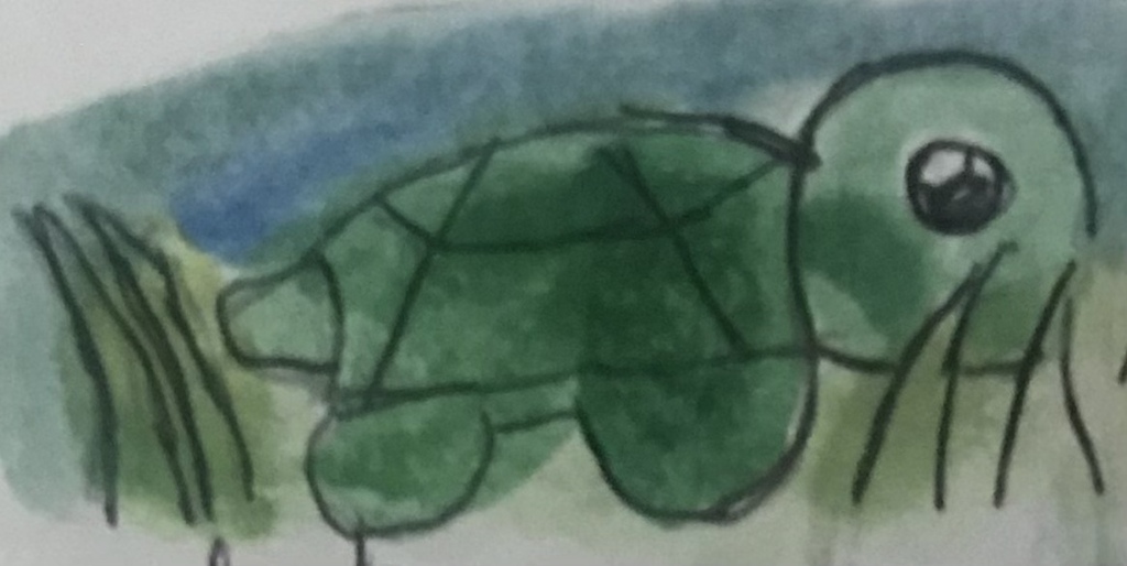 Most recent image: Turtle 