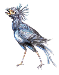 Crystal Secretary Bird
