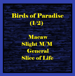 Birds of Paradise (1/2) (Lovebird TF)