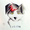 avatar of Cheitan