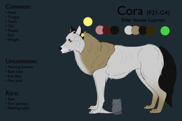 Cora reference - 2022