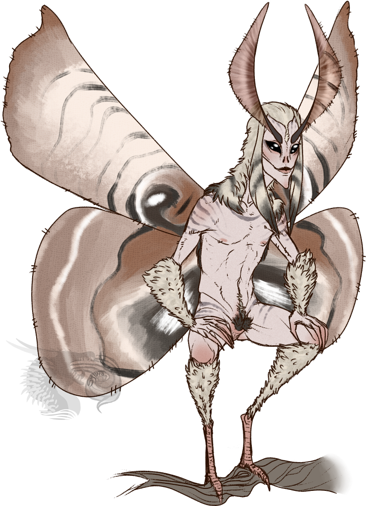Moth Man
