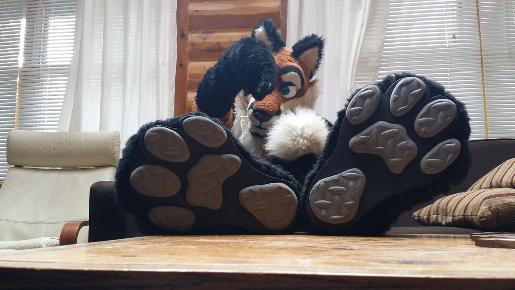 New paws for fox