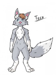 Stream Drawing - Tech the Wolf