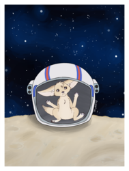 Campfire Tails 2015 Space Camp! (Flyer)
