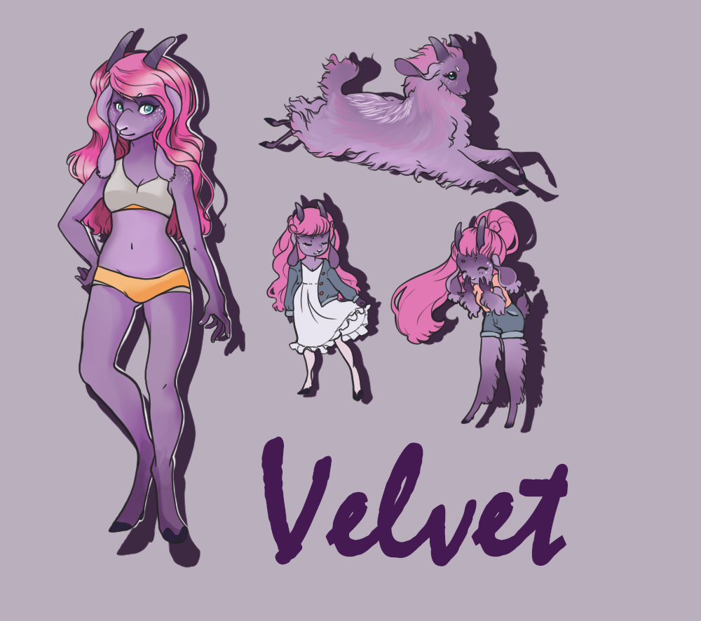 Most recent image: Velvet